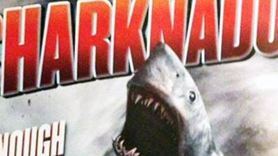 "Sharknado 2" : les requins volants reviennent faire le buzz !