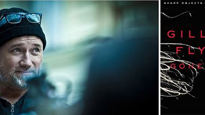 image de la news Une date de sortie US pour "Gone Girl" de David Fincher !