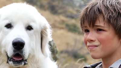 image de la news "Belle et Sébastien" au cinéma : découvrez la galerie photo complète ! 