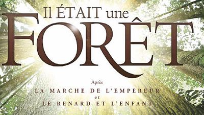 image de la news Masterclass "Il était une forêt" : Plongez au plus profond de la forêt tropicale !