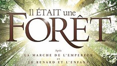 image de la news "Il était une forêt" : rencontre avec les créateurs du film