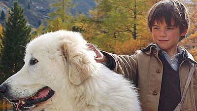 image de la news "Belle et Sébastien" : de nouvelles images de l'adaptation de la série culte ! [VIDEO]