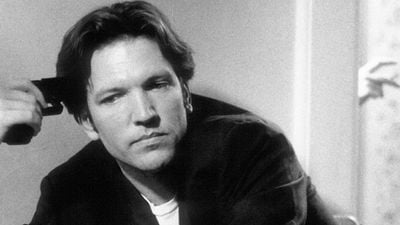 image de la news Hal Hartley lance un projet Kickstarter pour son nouveau film "Ned Rifle"