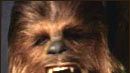 image de la news Accident de chasse pour Chewbacca !