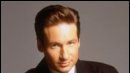 image de la news David Duchovny vert de rage ?