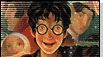 La folie "Harry Potter"