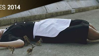 image de la news Cannes 2014 : le déroutant Bird People de Pascale Ferran transporte la presse !