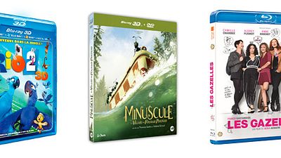image de la news Minuscule, Les Gazelles, Rio 2... Les 10 blu-rays / DVD à se procurer d'urgence en août !