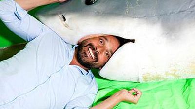 image de la news Sharknado 3 : Bruno Salomone rejoint David Hasselhoff chez les requins