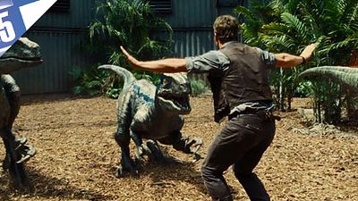 image de la news Dresser des raptors, c'est un métier ! [TOP 5]