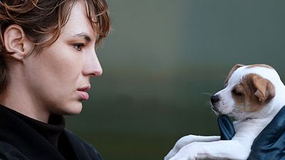 image de la news Cannes 2015 : extraits "Je suis un soldat" : quand Louise Bourgoin fait dans le trafic de chiens 