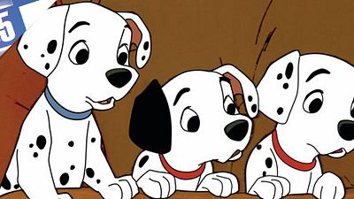 image de la news Aujourd’hui, c'est la journée du chien ! [TOP 5]