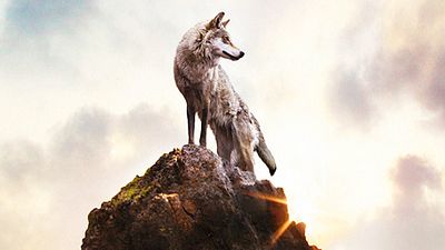 image de la news Oscars 2016 : Le Dernier loup de Jean-Jacques Annaud candidat chinois au Meilleur film étranger