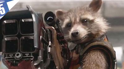 image de la news 5 boules de poils qu'il ne faut pas énerver