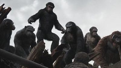 image de la news War For The Planet Of The Apes : une première photo de tournage !