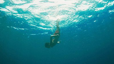 image de la news PIFF 2015 : Evolution de Lucile Hadzihalilovic récompensé