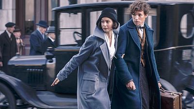 image de la news Les Animaux fantastiques : de quel Harry Potter le spin-off sera-t-il proche ?