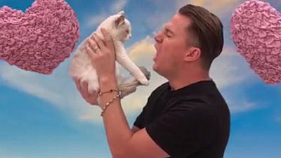 image de la news Channing Tatum dit "Huit Saloperies" à un chaton