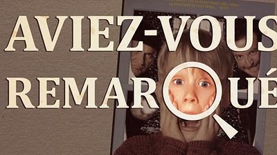 image de la news Aviez-vous remarqué ? Les petits détails cachés de Maman j'ai raté l'avion