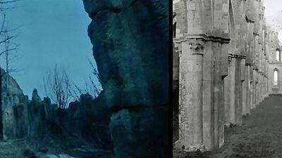 image de la news The Revenant : Quand Alejandro González Iñárritu vole quelques plans à Tarkovski