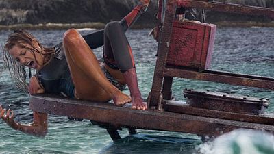 image de la news Instinct de Survie : Blake Lively face à un grand requin blanc dans une bande-annonce angoissante