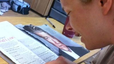 image de la news Vu sur Netflix : My Beautiful Broken Brain, le documentaire fantasmagorique produit par David Lynch
