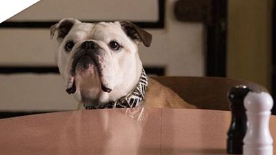 image de la news Cannes 2016 : un premier prix pour Paterson de Jim Jarmusch