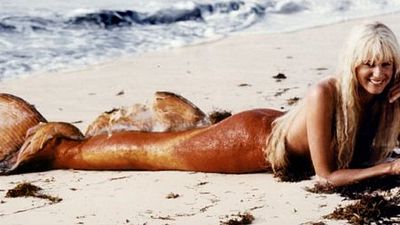 image de la news Splash avec Tom Hanks : un remake en préparation !