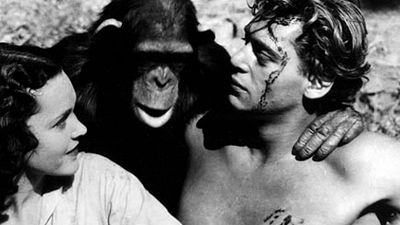 image de la news Cheeta, l'indéfectible chimpanzé compagnon de route de Tarzan