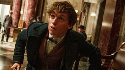 image de la news Les Animaux Fantastiques : la trilogie se précise
