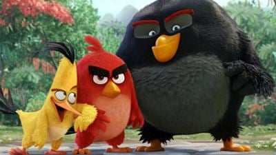 Angry Birds : la suite est déjà en préparation