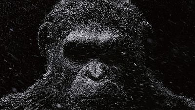 image de la news La Planète des singes 3 : découvrez l'affiche animée