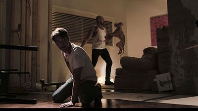 image de la news Un film d’horreur où les chats sont terrifiants ! Découvrez la bande-annonce de Moggy Creatures