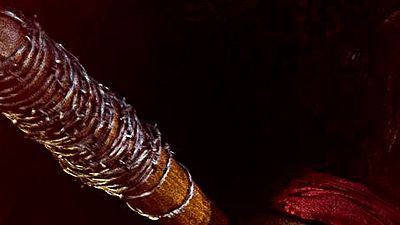 image de la news The Walking Dead : non, cet acteur n'est pas sur le départ [SPOILERS]