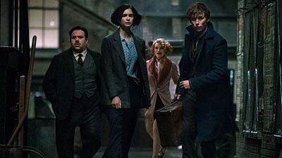 image de la news Les Animaux fantastiques : le casting de la suite se précise [SPOILERS]