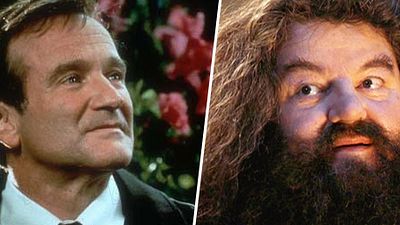 image de la news Pourquoi Robin Williams s'est vu refuser le rôle de Hagrid dans Harry Potter ?