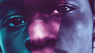 image de la news WGA Awards 2017 : Moonlight et Premier contact en route vers l'Oscar du Meilleur Scénario