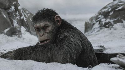 image de la news La Planète des Singes - Suprématie : un prequel au film sous forme de livre