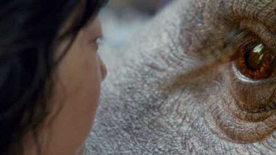 image de la news Okja sur Netflix : C'est quoi ce film ? 