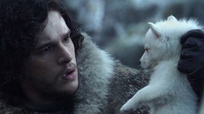 image de la news 10 films et séries qui ont lancé des modes d'adoption d'animaux