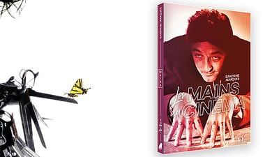 "Les Mains au cinéma" : le livre qui vous fait voir les films autrement