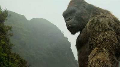 image de la news Godzilla vs Kong : comment évoluera le singe géant ? Le réalisateur lève le voile