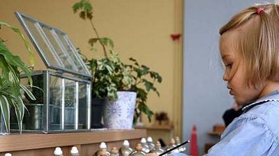 image de la news Le Château de verre, Espèces menacées, Le Petit Spirou... Les sorties de la semaine !