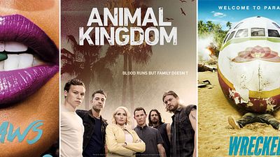 image de la news Warner TV : Claws, Animal Kingdom ou Wrecked, toutes les séries de la nouvelle chaîne