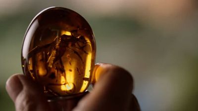 image de la news 3ème mini-teaser Jurassic World 2 : Jeff Goldblum est de retour !