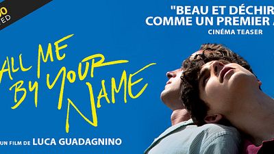 image de la news Le film "Call Me By Your Name", un des favoris des prochains Oscars, obtient le label Club 300 Approved ! 