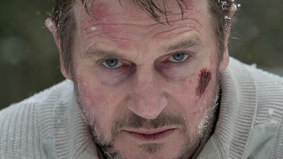 image de la news Le Territoire des Loups sur C8 : comment Liam Neeson a souffert sur ce tournage extrême...
