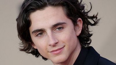 image de la news Qui est Timothée Chalamet, la révélation de Call Me By Your Name ?