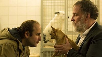 image de la news Chien de Samuel Benchetrit : pourquoi Van Damme s'est-il retiré du projet ?  