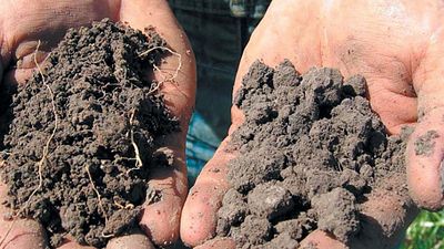 image de la news On a 20 ans pour changer le monde, terrible cri de détresse sur l'état de notre agriculture